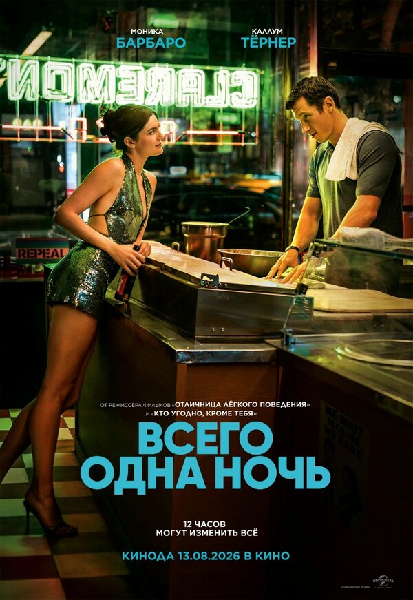 Всего одна ночь. Постер
